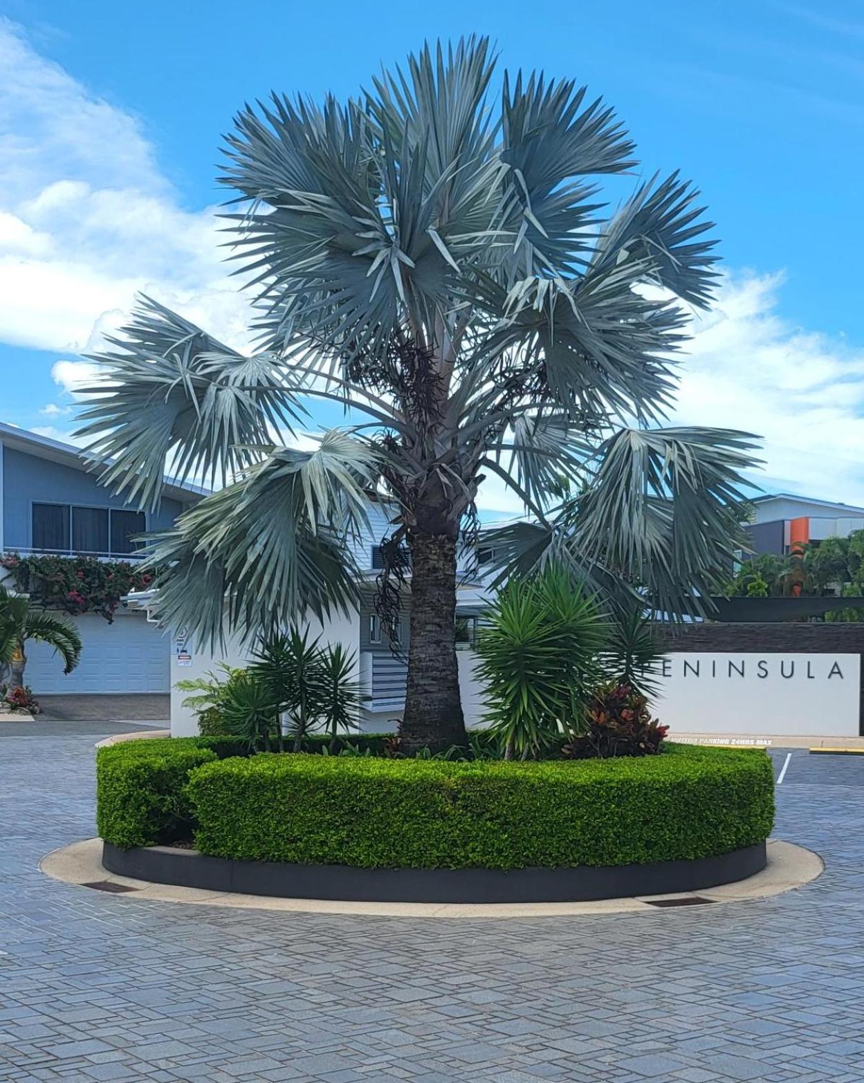 Peninsula Airlie Beach Ngoại thất bức ảnh